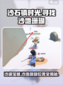 《沙石镇时光》：快速获取沙地珊瑚位置💎