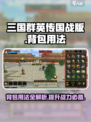 三国群英传国战版背包怎么用介绍