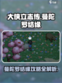 大侠立志传🔥曼陀罗结缘超详细攻略来啦！