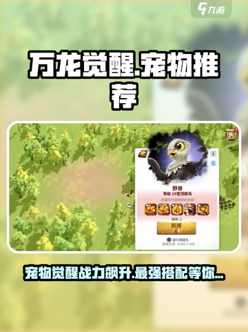 万龙觉醒🔥宠物推荐：最强宠物榜单出炉！截图1