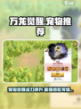 万龙觉醒🔥宠物推荐：最强宠物榜单出炉！
