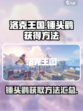 洛克王国手游锤头鹳怎么获得介绍
