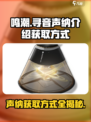 鸣潮⚡寻音声纳获取方式大曝光！玩家必看🔥