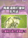 鸣潮🔥丁零当啷兽任务打破碎石⚡凌阳打石头技巧分享