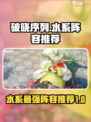 破晓序列最强水系阵容分享介绍