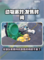 动物派对发售时间定了！💥快来看看👇