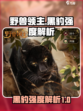 野兽领主新世界黑豹怎么样介绍