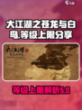 大江湖之苍龙与白鸟🔥等级上限揭秘！💥