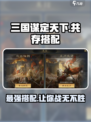 三国谋定天下🔥共存搭配全攻略🎉