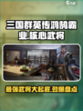三国群英传鸿鹄霸业🔥核心武将大起底！