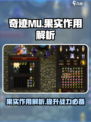 奇迹mu果实每项能吃多少介绍