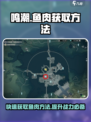鸣潮鱼肉怎么获得介绍