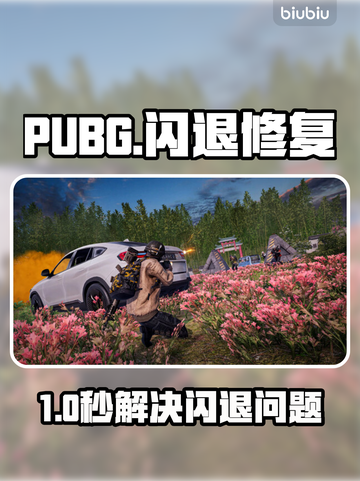 🔥PUBG闪退有救了！速看修复神器✨截图1