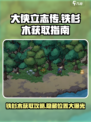大侠立志传🔥铁杉木获取位置大曝光！速来😎