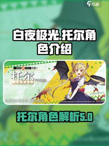 白夜极光托尔是谁介绍截图1