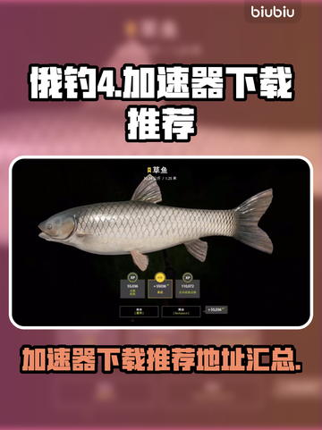 俄钓4⚡加速器下载推荐，玩饥饿鲨必备🔥截图1
