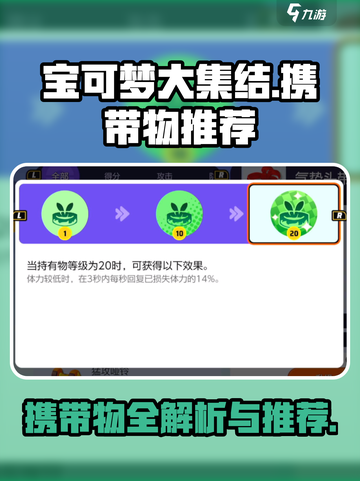 宝可梦大集结携带物介绍介绍截图1