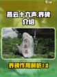 燕云十六声🔥界碑作用全解析，必看攻略！