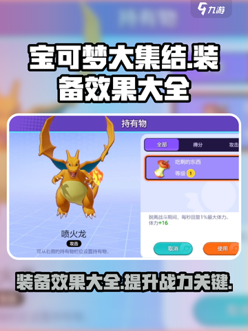 宝可梦大集装备有哪些介绍截图1