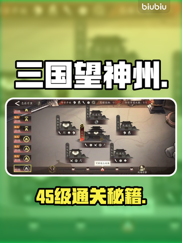 三国志：45级神级通关🔥截图1