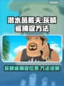 《潜水员戴夫》灰鲭鲨捕捉技巧大公开！🐟