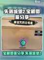 失落城堡2宝藏图鉴分享介绍