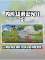 鸣潮💥山洞密码大曝光！游戏党必看🔥