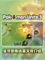 宝可梦大集结英文名是什么介绍