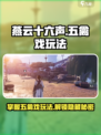 燕云十六声🔥五禽戏玩法大揭秘🎮