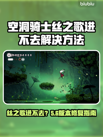 🎮空洞骑士丝之歌进不去？一招解决！截图1