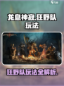 龙息神寂狂野队怎么玩介绍