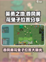 英勇之地香风黄花兔子在哪里介绍