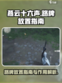 燕云十六声🔥路牌放置攻略与作用揭秘！