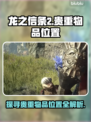 龙之信条2🔥贵重物品位置大揭秘！💎