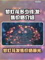梦灯花多少钱？《梦灯花》发售价格🔥超值爆料！🎉