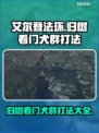 艾尔登法环黑夜君临！归树看门犬群打法🔥一学就会！