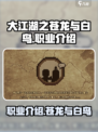 大江湖之苍龙与白鸟职业是什么介绍