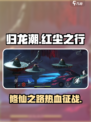 归龙潮红尘之行怎么样介绍
