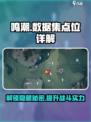 鸣潮数据集有什么用介绍