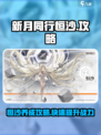 新月同行恒沙怎么样介绍