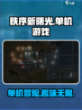 秩序新曙光是单机吗介绍
