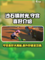 沙石镇时光💥守宫喜好大揭秘！玩家必看🔥