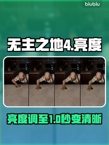 🔥无主之地4亮度调法曝光！🎮截图1