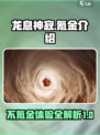龙息神寂⚡不氪金也能玩？真相让人震惊！