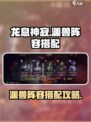 龙息神寂渊兽阵容怎么选介绍