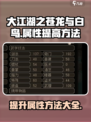 大江湖之苍龙与白鸟🔥属性飙升秘籍🎉