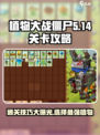 植物大战僵尸杂交版第14关通关秘籍🌟带你轻松取胜！
