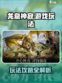 龙息神寂是哪个公司的介绍