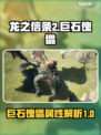 龙之信条2🔥巨石傀儡超强属性解析！💥