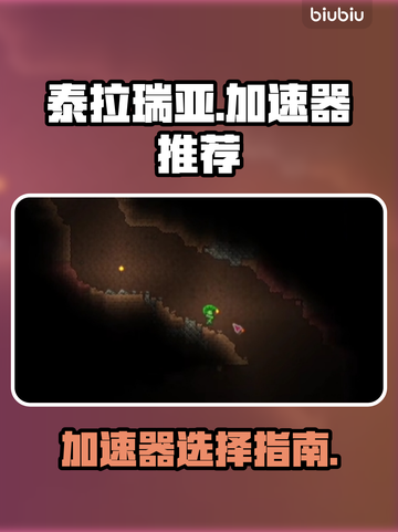 泰拉瑞亚⚡加速器真的有必要用吗？附推荐！截图1